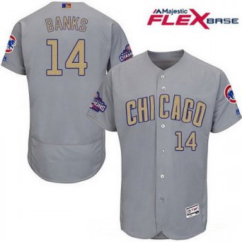 Men's Chicago Cubs #14 Ernie Banks Gray World Series Champions Gold Stitched MLB Majestic 2017 Flex Base Jersey