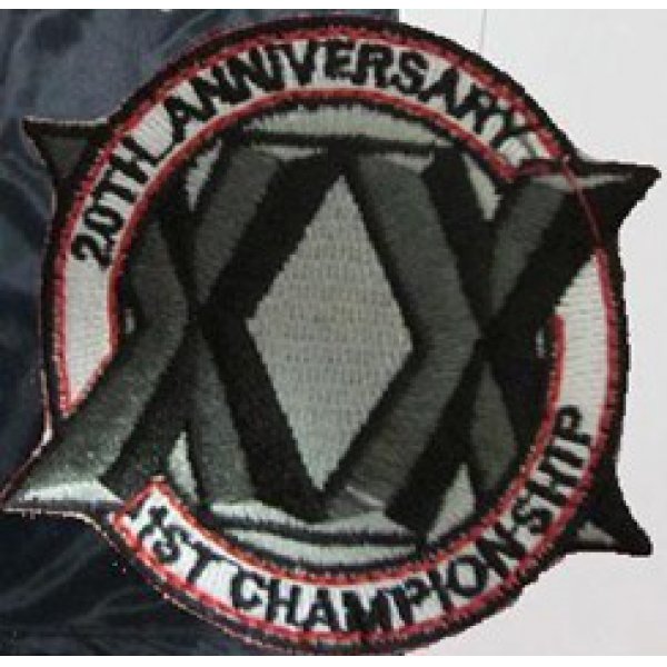 Chicago Bulls 20th Anniversary  Patch