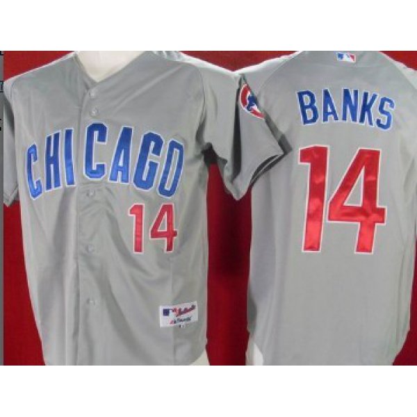 Chicago Cubs #14 Ernie Banks Gray Jersey