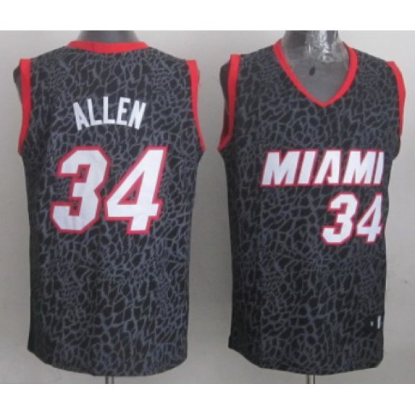 Miami Heat #34 Ray Allen Black Leopard Print Fashion Jersey